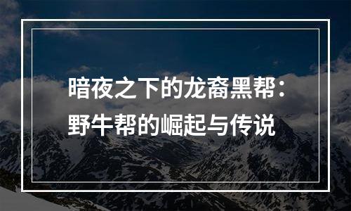 暗夜之下的龙裔黑帮：野牛帮的崛起与传说