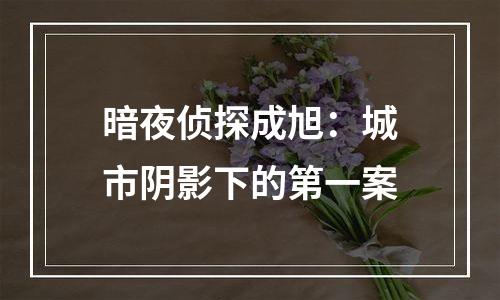 暗夜侦探成旭：城市阴影下的第一案