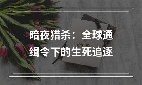 暗夜猎杀：全球通缉令下的生死追逐