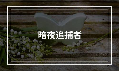 暗夜追捕者