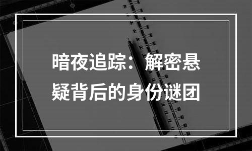 暗夜追踪：解密悬疑背后的身份谜团