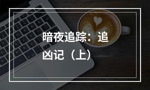 暗夜追踪：追凶记（上）