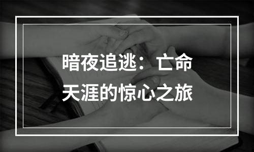 暗夜追逃：亡命天涯的惊心之旅