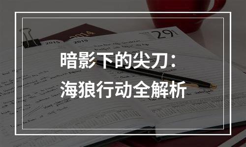 暗影下的尖刀：海狼行动全解析