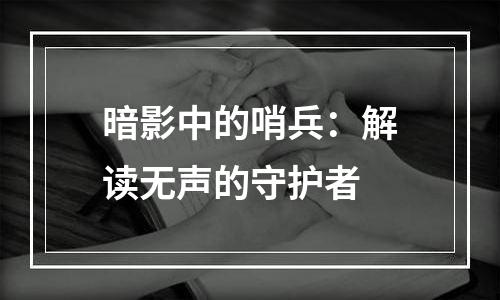 暗影中的哨兵：解读无声的守护者