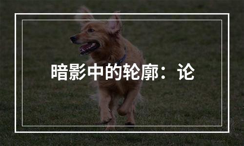 暗影中的轮廓：论