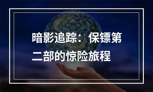 暗影追踪：保镖第二部的惊险旅程