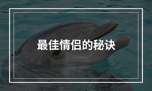 最佳情侣的秘诀