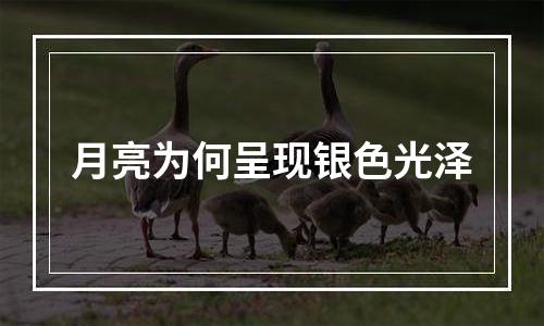 月亮为何呈现银色光泽