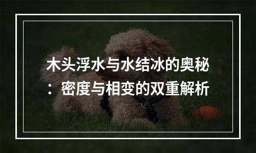 木头浮水与水结冰的奥秘：密度与相变的双重解析