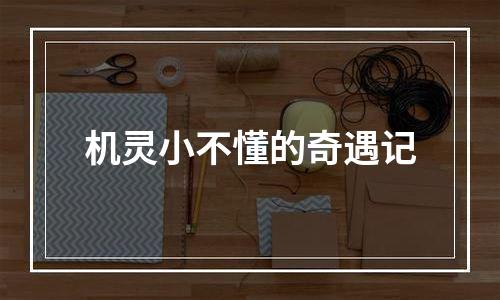 机灵小不懂的奇遇记