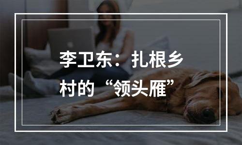 李卫东：扎根乡村的“领头雁”