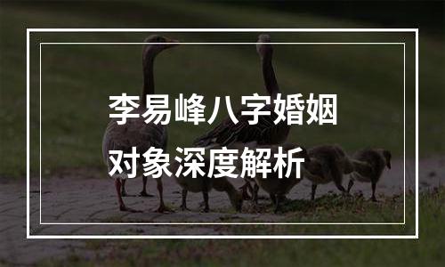 李易峰八字婚姻对象深度解析