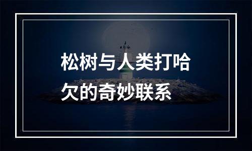 松树与人类打哈欠的奇妙联系