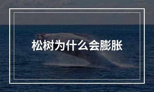 松树为什么会膨胀