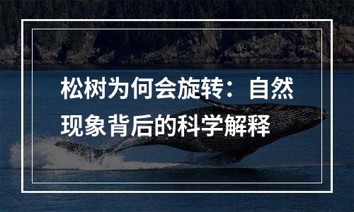 松树为何会旋转：自然现象背后的科学解释