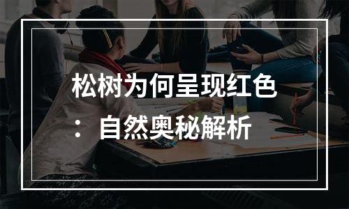 松树为何呈现红色：自然奥秘解析
