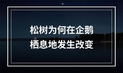 松树为何在企鹅栖息地发生改变