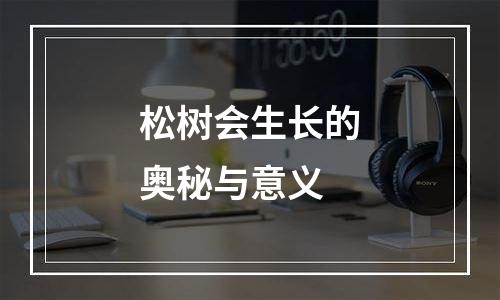 松树会生长的奥秘与意义