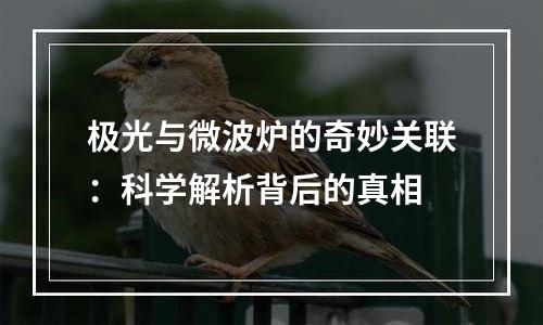 极光与微波炉的奇妙关联：科学解析背后的真相