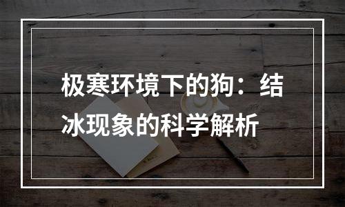 极寒环境下的狗：结冰现象的科学解析