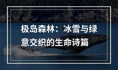 极岛森林：冰雪与绿意交织的生命诗篇