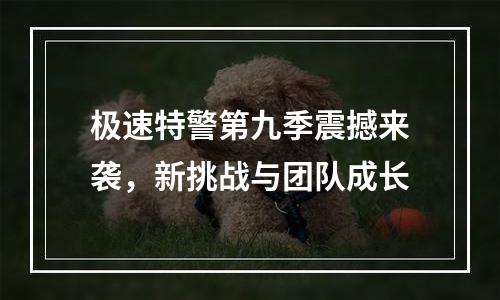 极速特警第九季震撼来袭，新挑战与团队成长