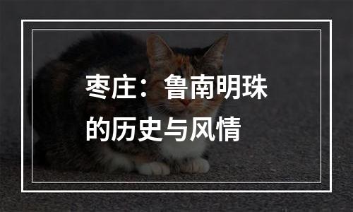 枣庄：鲁南明珠的历史与风情
