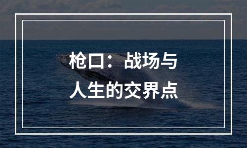 枪口：战场与人生的交界点