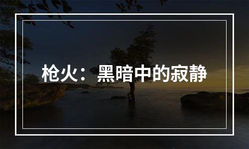 枪火：黑暗中的寂静
