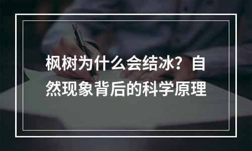 枫树为什么会结冰？自然现象背后的科学原理