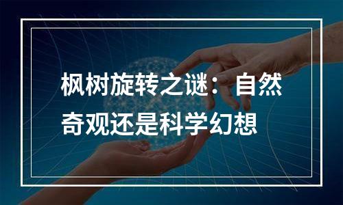 枫树旋转之谜：自然奇观还是科学幻想