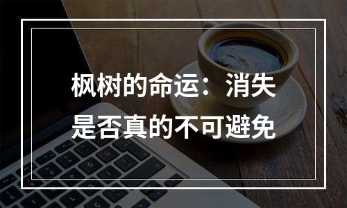 枫树的命运：消失是否真的不可避免