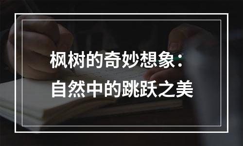 枫树的奇妙想象：自然中的跳跃之美