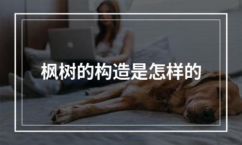 枫树的构造是怎样的