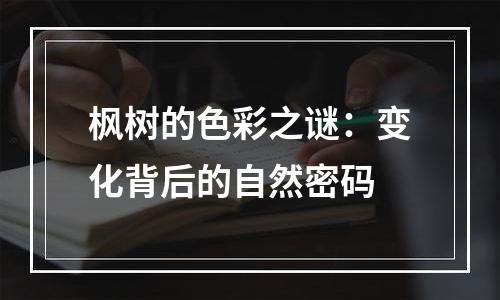 枫树的色彩之谜：变化背后的自然密码