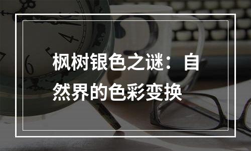 枫树银色之谜：自然界的色彩变换