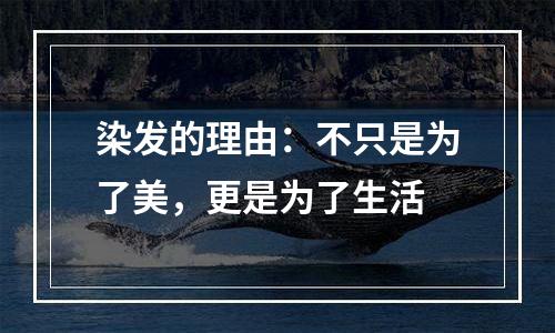 染发的理由：不只是为了美，更是为了生活