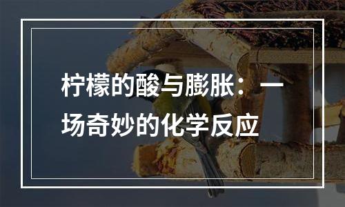 柠檬的酸与膨胀：一场奇妙的化学反应