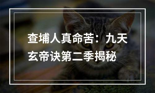 查埔人真命苦：九天玄帝诀第二季揭秘