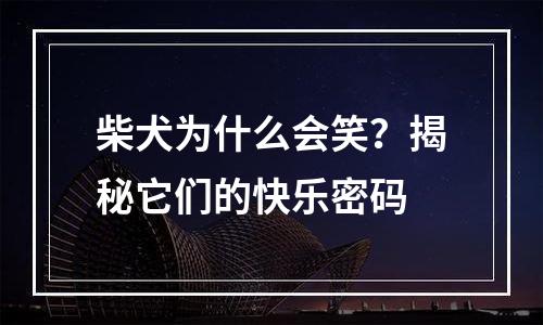 柴犬为什么会笑？揭秘它们的快乐密码