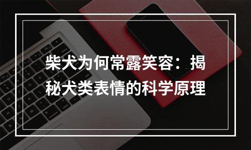 柴犬为何常露笑容：揭秘犬类表情的科学原理