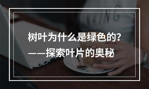 树叶为什么是绿色的？——探索叶片的奥秘