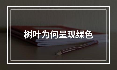 树叶为何呈现绿色