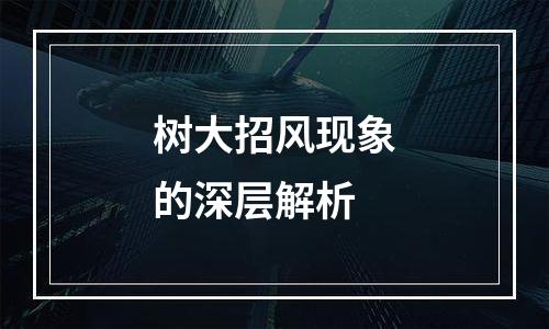 树大招风现象的深层解析