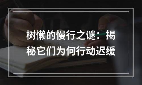 树懒的慢行之谜：揭秘它们为何行动迟缓