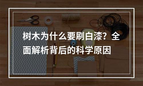 树木为什么要刷白漆？全面解析背后的科学原因