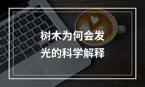 树木为何会发光的科学解释