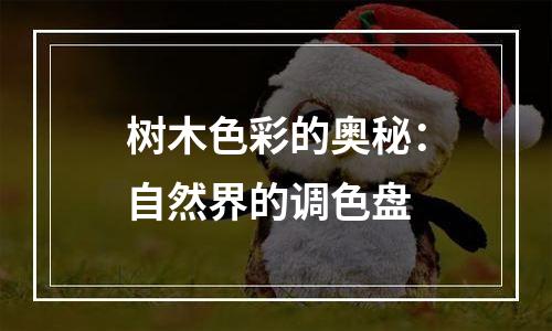 树木色彩的奥秘：自然界的调色盘