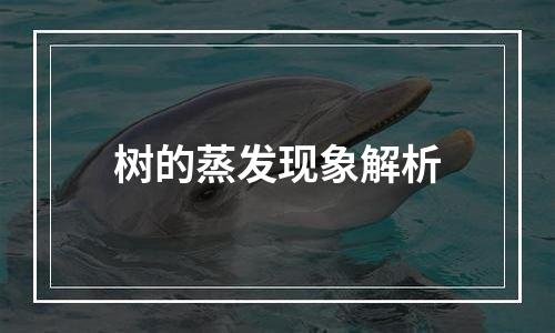 树的蒸发现象解析